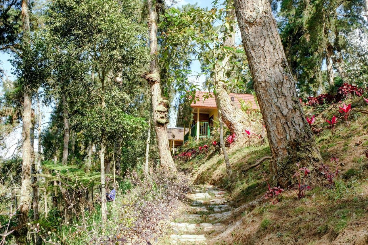 Magetan Oyo 1175 Oemah Djowo Resort מראה חיצוני תמונה