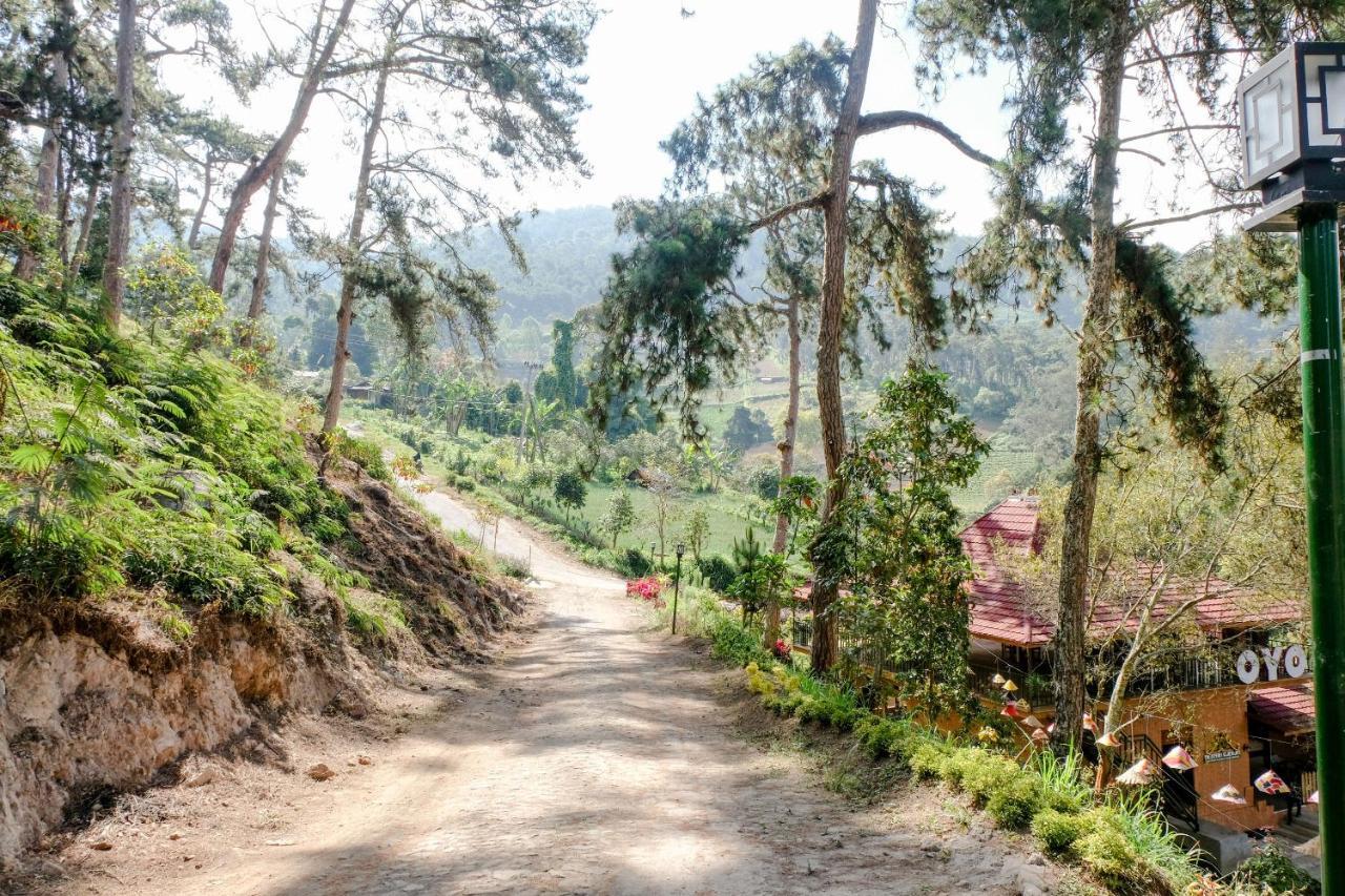 Magetan Oyo 1175 Oemah Djowo Resort מראה חיצוני תמונה