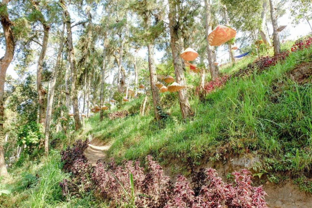 Magetan Oyo 1175 Oemah Djowo Resort מראה חיצוני תמונה